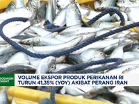 Volume Ekspor Produk Perikanan RI Turun 41,35% (Yoy) Akibat Perang Iran