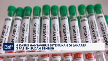 4 Kasus Hantavirus Ditemukan di Jakarta, 3 Pasien Sudah Sembuh