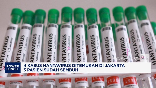 Video: 4 Kasus Hantavirus Ditemukan di Jakarta, 3 Pasien Sudah Sembuh
