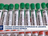 4 Kasus Hantavirus Ditemukan di Jakarta, 3 Pasien Sudah Sembuh