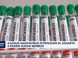 4 Kasus Hantavirus Ditemukan di Jakarta, 3 Pasien Sudah Sembuh