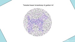 Kalau Tidak Buta Warna, Pasti Mudah Tebak Hewan yang Sembunyi di Pola Random Ini
