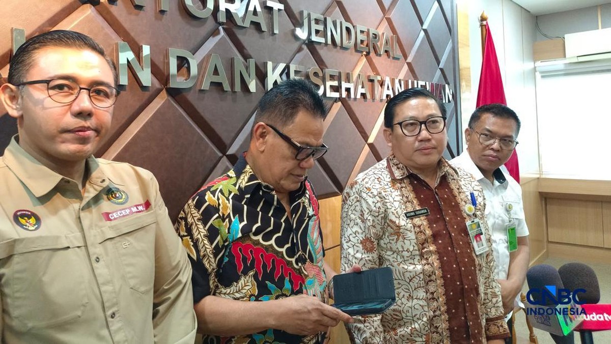 Harga Telur Ayam di Kandang Lagi Jatuh, Kementan Buka Suara