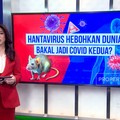 Hantavirus Hebohkan Dunia, Bakal Jadi Covid Kedua?