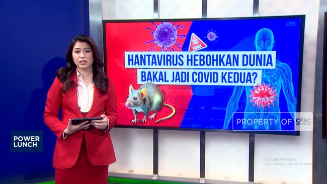 Video: Hantavirus Hebohkan Dunia, Bakal Jadi Covid Kedua?