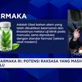 Herbal Indonesia di Persimpangan: Antara Warisan Alam & Standar Farmasi Dunia