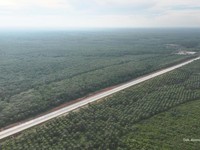 Proyek Tol Betung–Jambi Seksi 2A dan 2B. (Dok. Hutama Karya)