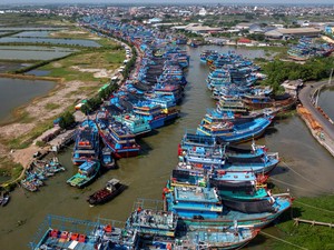 Video Jeritan Nelayan soal Harga Solar: Berhenti Mati, Lanjut Juga Mati