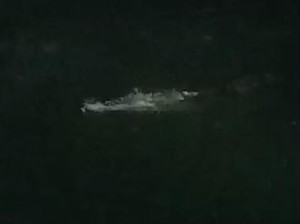 Geger Buaya 4 Meter Muncul di Bawah Jembatan Pampang Makassar