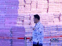 Tumpukan uang saat Penyerahan Denda Administratif dan Lahan Kawasan Hutan di Kejaksaan Agung, Jakarta, Rabu (13/5/2026). (CNBC Indonesia/Muhammad Sabki)