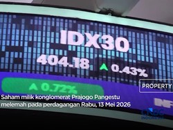 Saham Prajogo Pangestu Rontok Usai Dicoret MSCI!