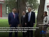 Diplomasi Pohon Tua Babak Baru Hubungan China-AS di Zhongnanhai.