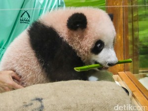 Terpopuler: China Senang Indonesia Bisa Menjaga Harta Nasionalnya 