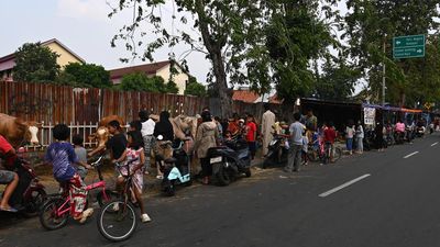 DKI Larang Lapak Hewan Kurban di Atas Trotoar