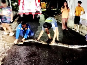 Mencekam! Ular Sanca Raksasa Masuk Permukiman Warga Ciamis