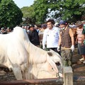 Kabupaten Blora