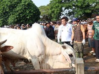 Kabupaten Blora