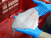 Foto: Filet tilapia. (Dokumentasi Istimewa)