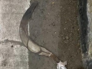 Petugas Tiket Parangtritis Dibacok Celurit Saat Piket Malam