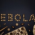 Ilustrasi ebola. (Dok. Pixabay)