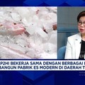 Pabrik Es hingga BBM bagi Nelayan, Masalah Industri Perikanan Tuna RI