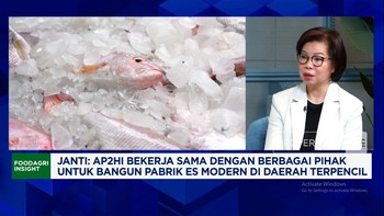 Pabrik Es hingga BBM bagi Nelayan, Masalah Industri Perikanan Tuna RI