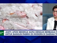 Pabrik Es hingga BBM bagi Nelayan, Masalah Industri Perikanan Tuna RI