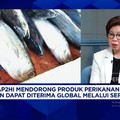 RI Produsen Tuna Terbesar Dunia Tapi Belum Kuasai Pasar Ekspor, Kok Bisa?