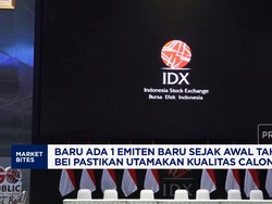 IPO Semester I Sepi, BEI Yakin Target 2026 Tercapai