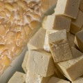Kolase tempe dan tahu. (Dok. Pexels)