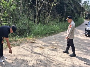 Pelajar SMP di Mura Tewas Usai Motor Senggolan dengan Truk