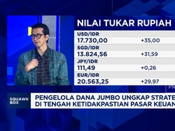 Investasi Pilihan MI Saat IHSG Melemah & Rupiah Anjlok ke Rp 17.700/USD