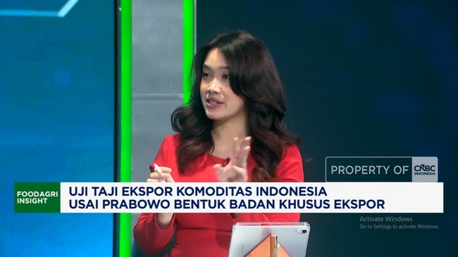 Video: BUMN Khusus Ekspor Dibentuk, Yakin RI Bisa Kendalikan Harga?