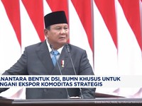 Danantara Bentuk DSI, BUMN Khusus Tangani Ekspor Komoditas Strategis