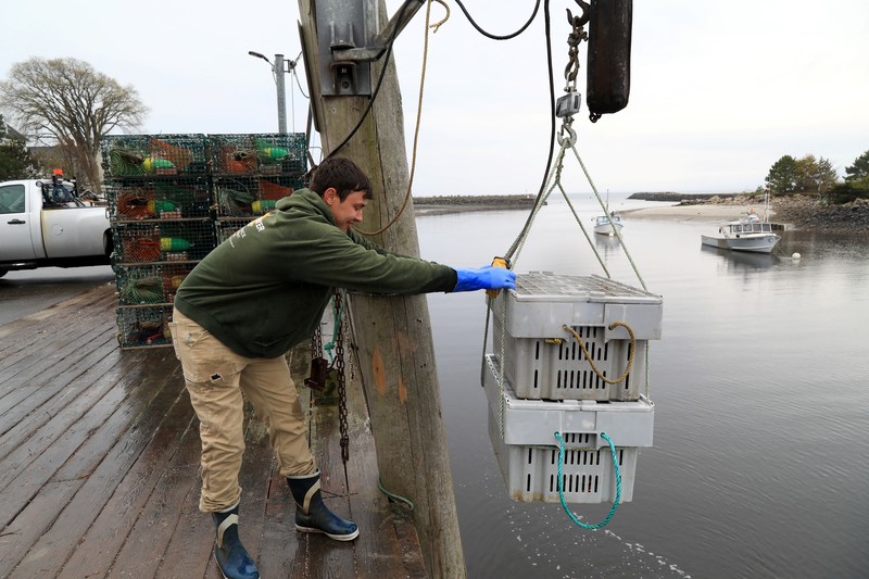 Chris Welch, seorang nelayan lobster, mengemudikan perahunya kembali ke tempat tambatan setelah mengisi bahan bakar diesel di Kennebunkport, Maine, AS, 13 Mei 2026. (REUTERS/Lauren Owens Lambert)