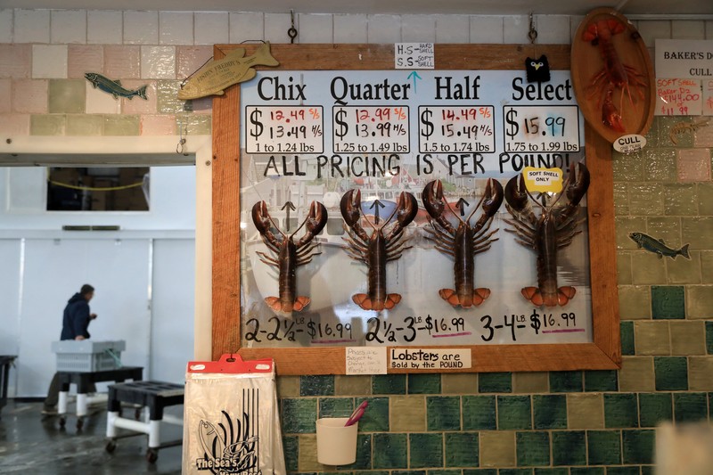 Chris Welch, seorang nelayan lobster, mengemudikan perahunya kembali ke tempat tambatan setelah mengisi bahan bakar diesel di Kennebunkport, Maine, AS, 13 Mei 2026. (REUTERS/Lauren Owens Lambert)