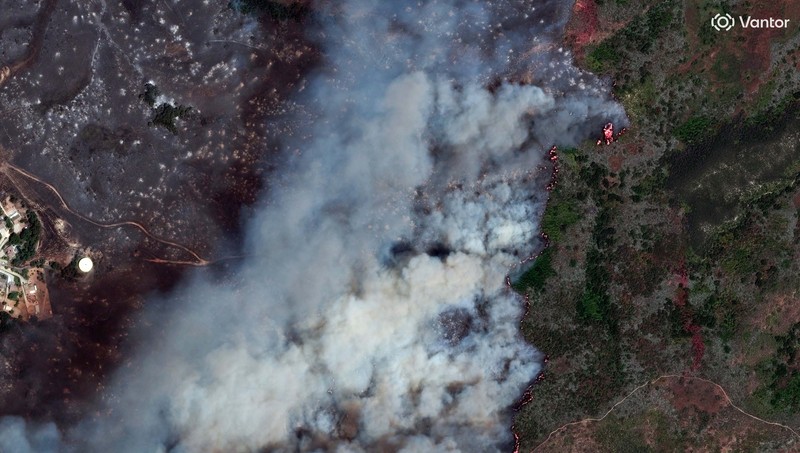 Kebakaran hutan berskala besar telah menghanguskan hampir sepertiga wilayah Pulau Santa Rosa di Taman Nasional Channel Islands, California, Kamis (21/5/2026). (via REUTERS/VANTOR)