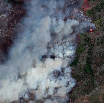 Kebakaran hutan berskala besar telah menghanguskan hampir sepertiga wilayah Pulau Santa Rosa di Taman Nasional Channel Islands, California, Kamis (21/5/2026). (via REUTERS/VANTOR)