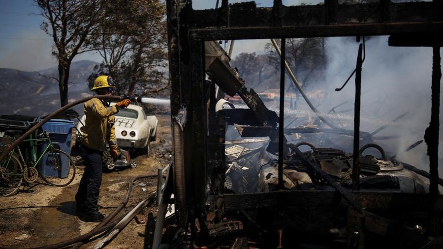 Kebakaran hutan berskala besar telah menghanguskan hampir sepertiga wilayah Pulau Santa Rosa di Taman Nasional Channel Islands, California, Kamis (21/5/2026). (REUTERS/Daniel Cole)