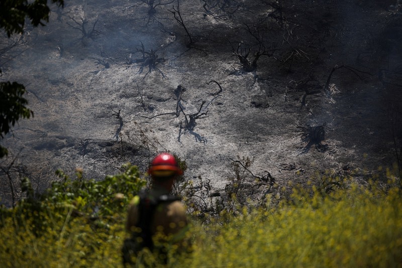 Kebakaran hutan berskala besar telah menghanguskan hampir sepertiga wilayah Pulau Santa Rosa di Taman Nasional Channel Islands, California, Kamis (21/5/2026). (via REUTERS/VANTOR)