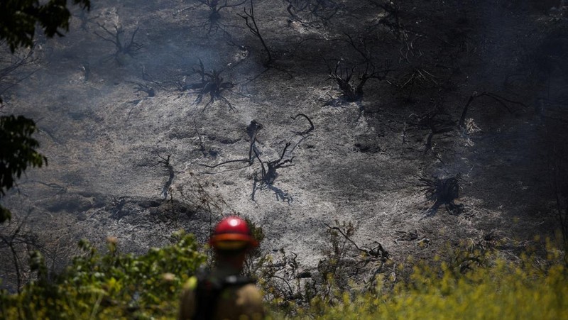 Kebakaran hutan berskala besar telah menghanguskan hampir sepertiga wilayah Pulau Santa Rosa di Taman Nasional Channel Islands, California, Kamis (21/5/2026). (REUTERS/Daniel Cole)