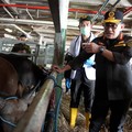 Kepala Badan Karantina Indonesia Abdul Kadir Karding turun langsung mengecek kedatangan sapi kurban asal Kupang, Nusa Tenggara Timur (NTT), di Pelabuhan Kade 108 Tanjung Priok, Jakarta Utara, Kamis (21/5/2026). (Humas Barantin)