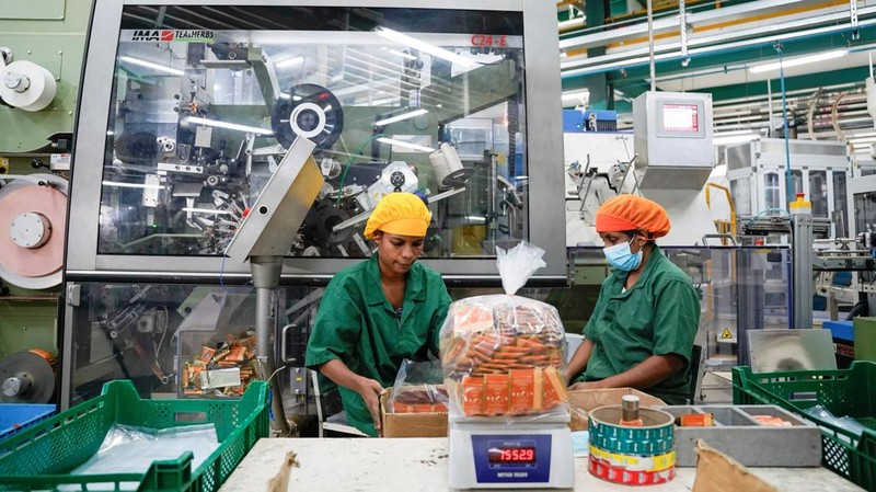 Para pekerja menyortir, menimbang, dan mengemas kantong teh di jalur produksi di dalam pabrik Teh Dilmah di Kolombo, Sri Lanka, 23 April 2026.