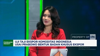Selisik Tujuan Prabowo Bentuk BUMN Khusus Ekspor Sawit - Bantu Bara