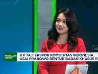 Selisik Tujuan Prabowo Bentuk BUMN Khusus Ekspor Sawit - Bantu Bara