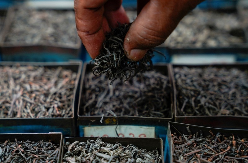 Seorang pekerja menurunkan karung berisi daun teh yang baru dipetik dari sebuah kendaraan di Perkebunan Teh Dunkeld di Hatton, Sri Lanka, 29 April 2026. (REUTERS/Akila Jayawardena)