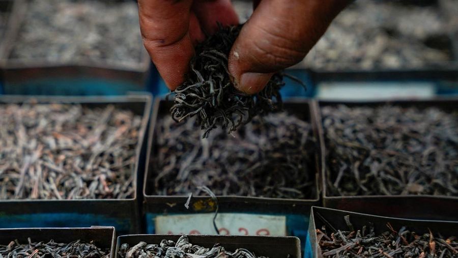 Seorang karyawan memeriksa daun teh kering di pabrik teh Dilmah di Kolombo, Sri Lanka, 23 April 2026.