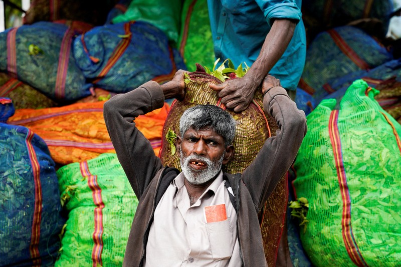 Seorang pekerja menurunkan karung berisi daun teh yang baru dipetik dari sebuah kendaraan di Perkebunan Teh Dunkeld di Hatton, Sri Lanka, 29 April 2026. (REUTERS/Akila Jayawardena)