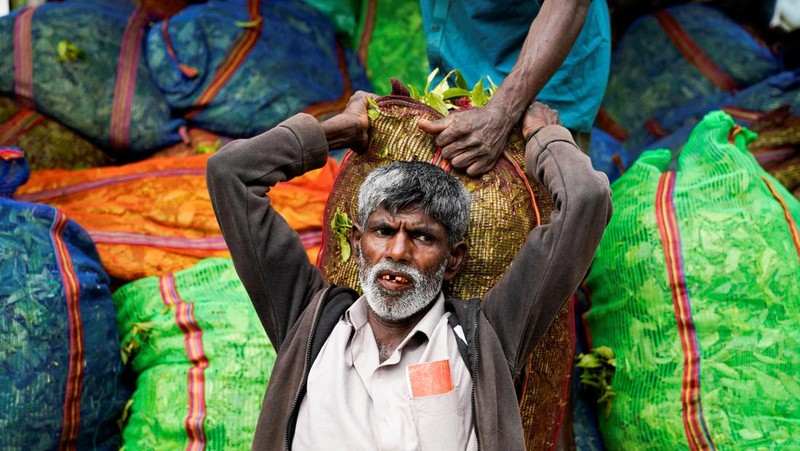 Seorang pekerja menurunkan karung berisi daun teh yang baru dipetik dari sebuah kendaraan di Perkebunan Teh Dunkeld di Hatton, Sri Lanka, 29 April 2026. (REUTERS/Akila Jayawardena)