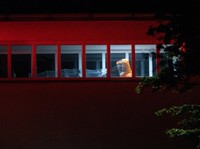 Seorang petugas kesehatan memindahkan pasien dari ambulans ke rumah sakit di Praha, Republik Ceko, Kamis (21/5/2026). (REUTERS/Eva Korinkova)